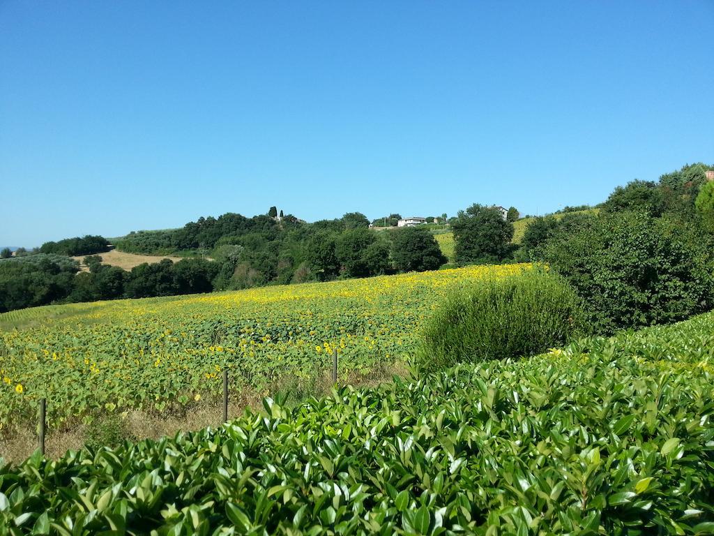 Il Borghetto Villa Тоди Екстериор снимка